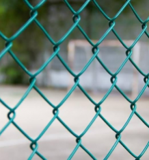 Green PVC Coated Chain Link